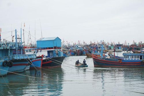 Bãi bỏ nhiều bằng, chứng chỉ thuyền viên phương tiện thủy