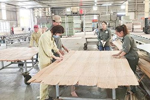 Thúc đẩy phát triển kinh tế lâm nghiệp nhanh và bền vững