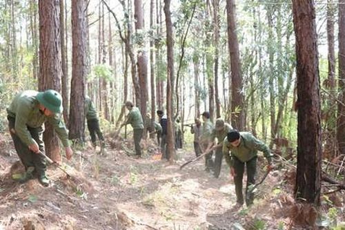 Kiểm điểm chủ rừng để cháy 17 héc-ta rừng nhưng không báo