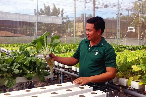 Làm nông nghiệp sạch ở vùng biên
