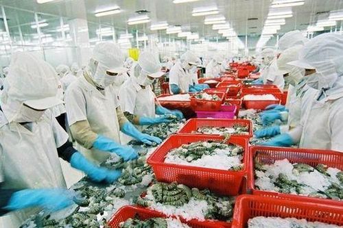 Chậm cấp mã số REX cho doanh nghiệp, Bộ Công Thương gửi văn bản 'nhắc' VCCI