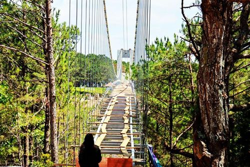 TP Đà Lạt nói gì việc chậm dỡ cầu kính hoành tráng xây không phép?