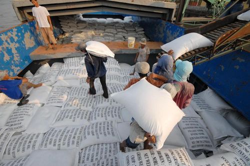 Doanh nghiệp bên bờ vực phá sản kêu cứu cho xuất khẩu gạo nếp