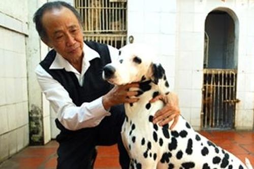 Nguyễn Bảo Sinh – 'quái nhân' Hà Nội