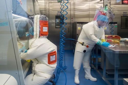 Tình báo Mỹ điều tra giả thuyết virus corona rò rỉ từ phòng thí nghiệm ở Vũ Hán