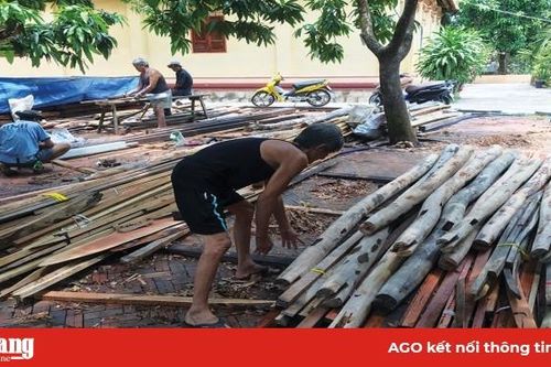 Những cụ già đi nhận nụ cười trong căn nhà mới
