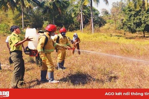 Bổ sung kinh phí hơn 2,1 tỷ đồng phòng cháy, chữa cháy rừng năm 2020