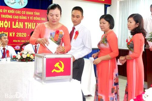 Bố trí cán bộ trẻ tham gia cấp ủy