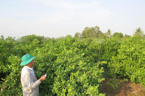 Hiệu quả từ mô hình sử dụng điện năng lượng mặt trời tưới vườn cây ăn trái