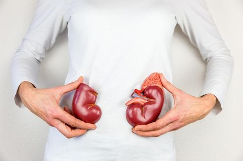 5 thức uống giữ cho thận của bạn sạch sẽ