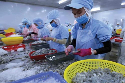 Nông nghiệp Việt Nam: Tìm cơ hội trong thách thức