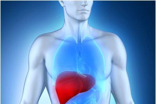 Aspirin có thể làm giảm nguy cơ ung thư gan