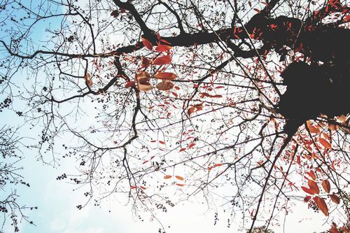 Gió lạnh cuối mùa đã nói lời tạm biệt?