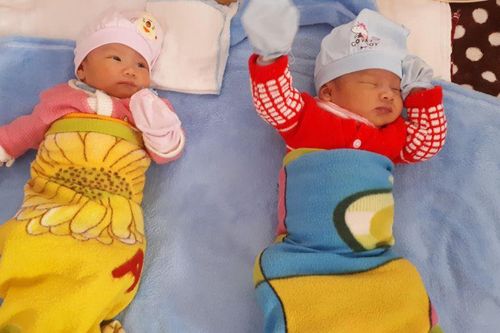 Việt Nam chẩn đoán thành công hemophilia trước chuyển phôi