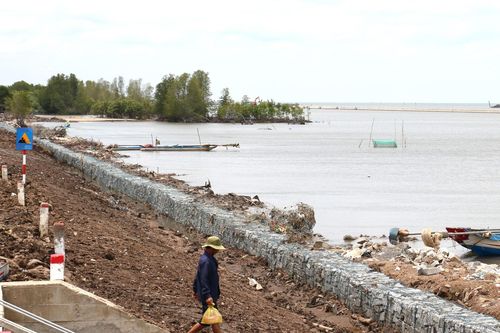 'Vá' đê biển Tây trước mùa mưa bão