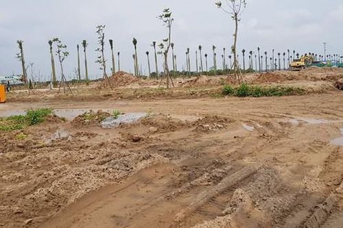 Hưng Yên 'xử' tiếp 3 doanh nghiệp san lấp trái phép đất trồng lúa