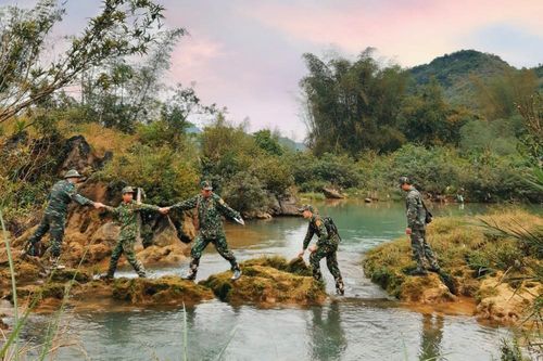 Xếp bút nghiên lên đường chống dịch