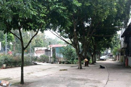 Ngang nhiên đổ bê tông, mương thoát nước để kinh doanh ở Hà Nội