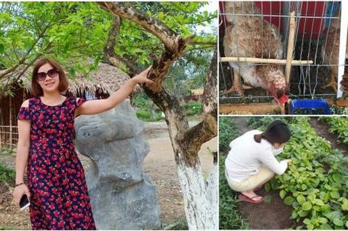 Tự trồng rau, nuôi gà trên sân thượng, mẹ đảm Hà Nội một tháng đi chợ 2 lần, tiêu không quá 1,5 triệu đồng