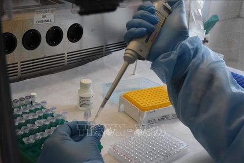 Tunisia bắt giữ 2 đối tượng tìm cách lây lan virus SARS-CoV-2 cho cảnh sát