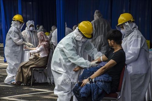 Indonesia ghi nhận số ca mắc COVID-19 cao nhất khu vực Đông Nam Á