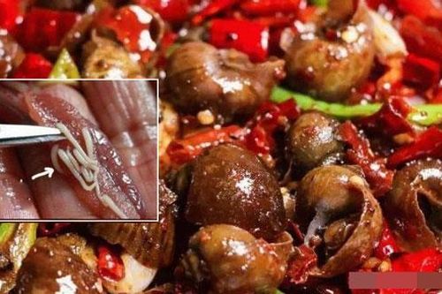 Những món ngon này là 'tổ xán và ký sinh trùng sống', ngay cả khi nấu trong nước sôi chúng cũng khó chết