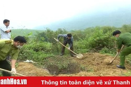 Phát hiện và tiêu hủy các cá thể đông lạnh động vật quý hiếm