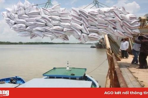 Thủ tướng Nguyễn Xuân Phúc chỉ đạo tháo gỡ khó khăn cho xuất khẩu gạo