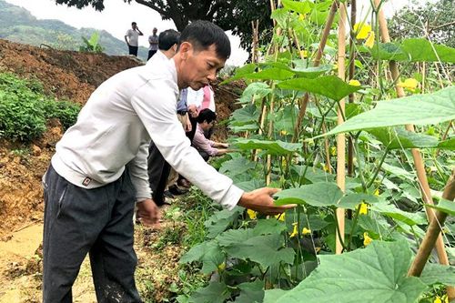 'Việc khó đã có... hợp tác xã'