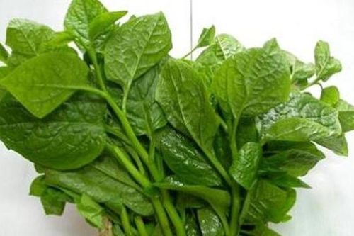 Trị táo bón: Dùng thuốc bơm hậu môn chỉ là giải pháp cuối cùng