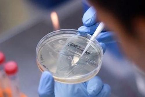 Con đường tìm vaccine trị COVID-19: Trở ngại thiếu tiền