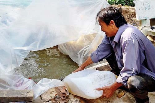 ĐBSCL: Mặn duy trì mức cao trong tháng 4