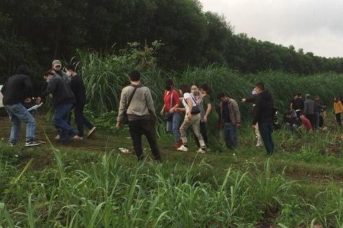 Hơn 40 cảnh sát bao vây hàng chục đối tượng đánh bạc giữa núi rừng