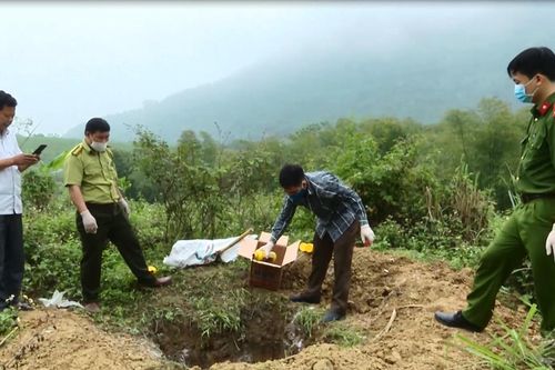 Tiêu hủy 32 cá thể động vật rừng, xử phạt gần 50 triệu đồng
