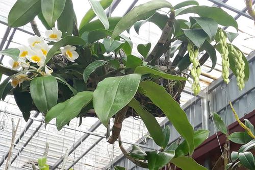 Muốn hôn nhân hạnh phúc, 3 điều này tuyệt đối không làm