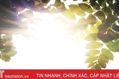 Năm 2020 sẽ nóng kỷ lục trên toàn cầu