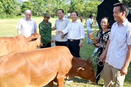 Người 'vác tù và hàng tổng'