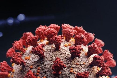 Cơ thể phản ứng ra sao khi bị Coronavirus tấn công?