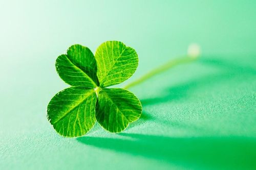May mắn là một khả năng có thể học hỏi, và đây là cách giúp bạn nắm bắt may mắn của mình