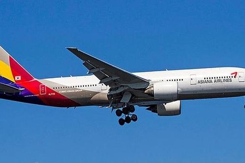 Dịch COVID-19: Asiana Airlines khuyến khích nhân viên nghỉ không lương 15 ngày/tháng