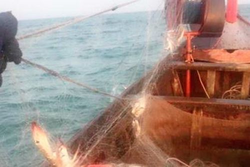 Ngư dân Hà Tĩnh ra khơi bám biển trong mùa dịch Covid-19