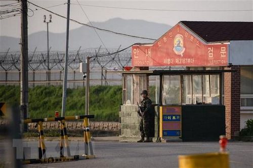 Hàn Quốc thông báo nối lại dự án khai quật hài cốt binh sỹ tại DMZ