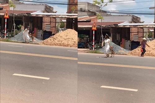 Cô dâu mặc váy cưới vẫn lao sang đường để lôi chú chó đi theo, biết được lý do mọi người càng bất ngờ