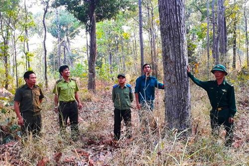 Chư Prông: Chốt chặn để quản lý bảo vệ rừng