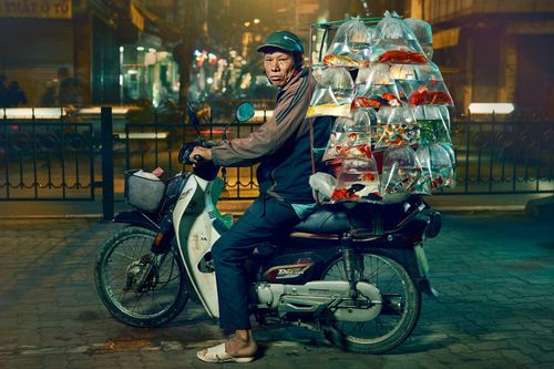 Xe bán cá cảnh rong ở Việt Nam chiến thắng giải thi ảnh tại Mỹ