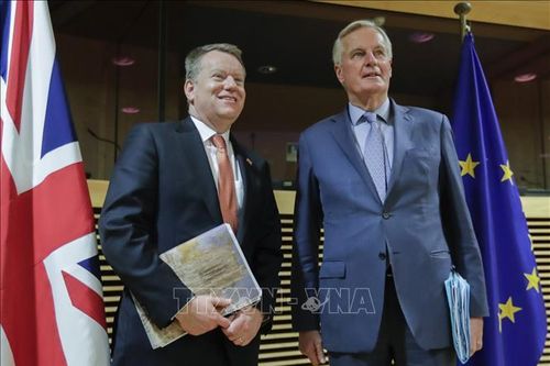 Anh kiên quyết không đề nghị kéo dài thời gian chuyển tiếp tiến trình Brexit