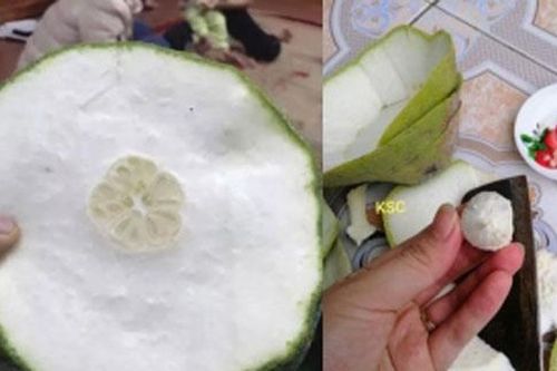 Mua được quả bưởi Năm Roi căng mọng, về bổ ra anh chàng mới 'khóc ròng'