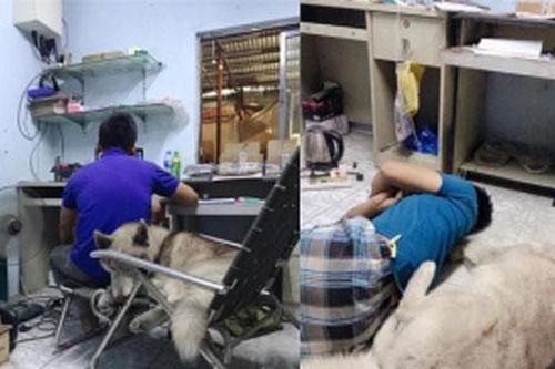 Cô vợ 'uất nghẹn' than thở vì bị chồng bỏ quên rồi suốt ngày cưng nựng 'kẻ thứ ba' này