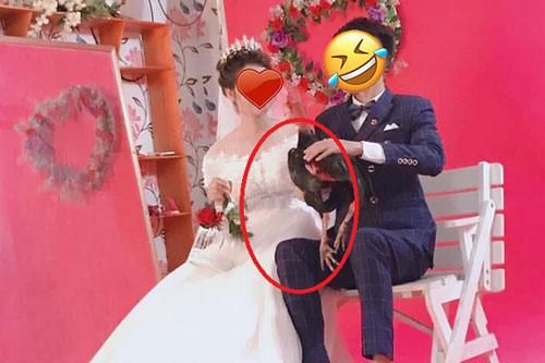 Xuất hiện 'kẻ thứ ba' trong bộ ảnh cưới của cặp đôi trẻ khiến thợ chụp ảnh 'méo mặt'