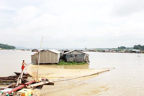 Hỗ trợ người nuôi cá bè ổn định sản xuất